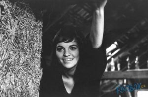 kinobox-ida-rapaicova